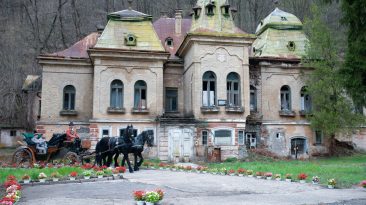 ecoPolitic News: Castelul Pocol, va fi restaurat și reintrodus în circuitul turistic