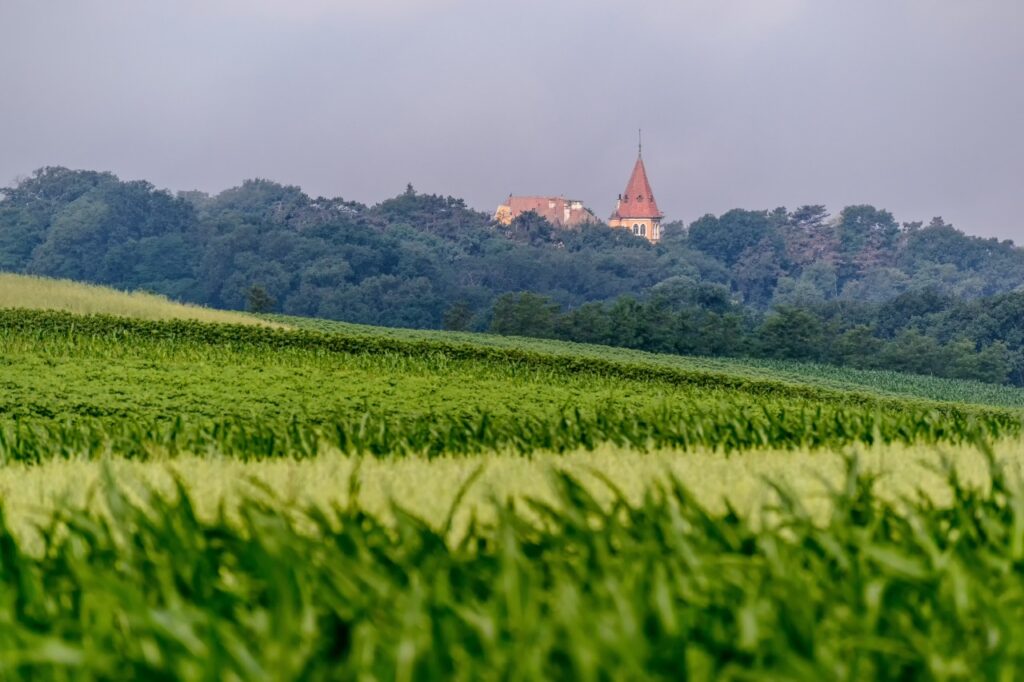 Castelul Ugron din Zau de Câmpie 2