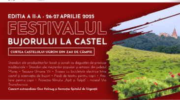 Festivalul Bujorului la Castel. 2025