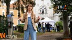 TVR Târgu Mureș: „Festivalul Bujorului la Castel” – Istorie, natură și tradiții în Câmpia Transilvaniei